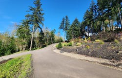 Eagle View DR, Eugene, OR 97405