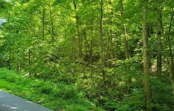 888 Hazel Patch Road, East Bernstadt, KY 40729