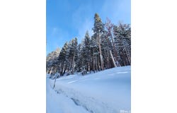 529 E Meadows Drive lot: 306, Markleeville, CA