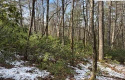 Lot 18 Walden Lane, West Jefferson, NC 28694