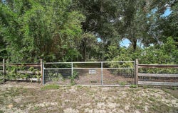 ALLEN STREET, MOUNT DORA, FL 32757