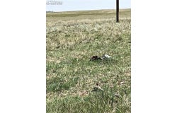 1999 Sengbeil Road, Yoder, CO 80864