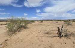 491xx N 529th Avenue, Aguila, AZ 85320