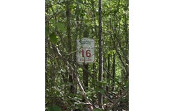 LEGENDS Dr, Springville, TN 38256