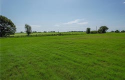 Tract 2 CR 419, Bremond, TX 76629