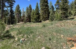 1065 E Redwood, Duck Creek Village, UT 84762
