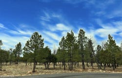 2634 SAN JUAN Drive, Happy Jack, AZ 86024