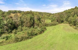 Walter McDaniels Road, East Bernstadt, KY 40729