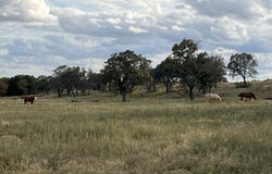 300 Private Road 626, Voca, TX 76887