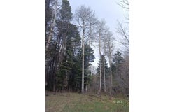 Tract I Spruce Mtn Rd, Cotopaxi, CO 81223