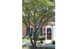204 Bruce Court, Danville, KY 40422