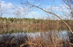 3 Michael Dr, Wareham, MA 02538