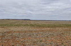 Tba2 FM 2405, Ovalo, TX 79541
