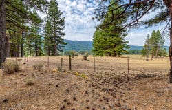 503 Redtail Loop, Clio, CA 96106
