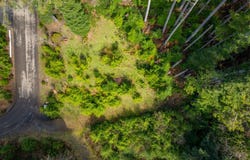 Walsh Ln, ArchCape, OR 97102