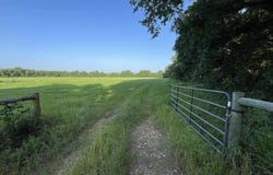 Lockesburg, AR 71846