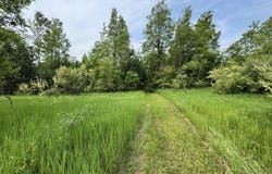 V/L 200th Ave, Tustin, MI 49688