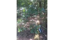 0 Villa Vista Drive, Owensville, MO 65066
