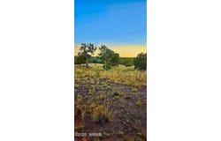 8486 Cannon Boulevard, Show Low, AZ 85901