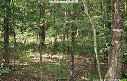 Hot Springs Village, AR 71909