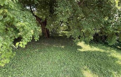1400 S Carol Avenue, Princeton, IN 47670