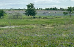 Tbd Hackberry Road, Salado, TX 76571