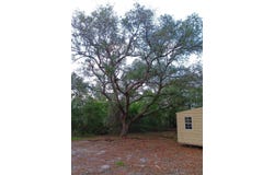 5104 Gulf Breeze Parkway, Gulf Breeze, FL 32563