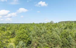 C TUCKER ROAD, ELMIRA, MI 49730
