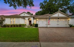 3825 MISTY LANDING Drive, VALRICO, FL 33594