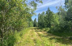 1961 Town Road 118, Birchdale, MN 56629