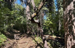 1404 S Shasta Ranch Rd, Mount Shasta, CA 96067