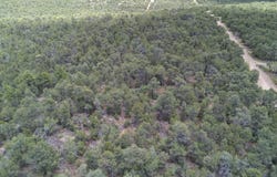McComb Road, Edgewood, NM 87015