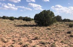 Tbd WICKED SISTERS, Concho, AZ 85924