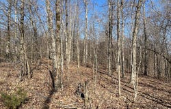 Tract #1 Lake Road, Silva, MO 63964