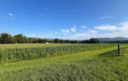 550 & 560 ROHRBAUGH LANE, MOOREFIELD, WV 26836
