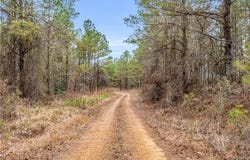 County rd 12, Carrollton, AL 35447