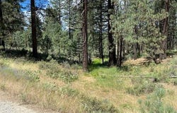 200 Idle Hour Drive, Portola, CA 96122