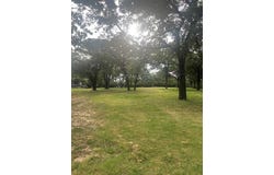 313 Breezy Lane, Azle, TX 76020