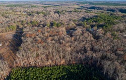 SEWELL Rd, Selmer, TN 38375