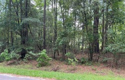 Lot 46 Robin Dr, Bamberg, SC 29003