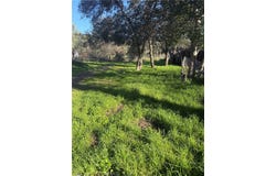 3626 Oleander, Clearlake, CA 95422
