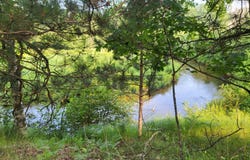 6960 Trem Pal, Grayling, MI 49738