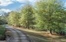 6303 & 6249 Ben Parks Road, Murrayville, GA 30564