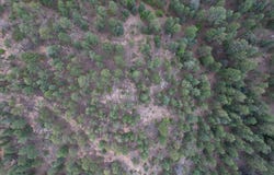 A015 County Road, Mora, NM 87732