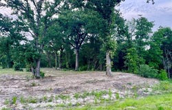 1017 Cedar Hill Drive, Nemo, TX 76070