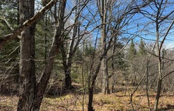 0000 BIRCH POINT LN, Presque Isle, WI 54557