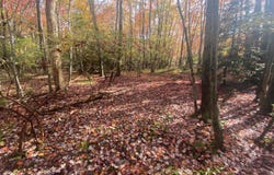 Lot 102 Crescent Way, Albrightsville, PA 18210