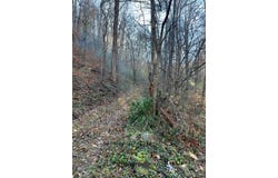 521 Brunty Fork, Canada, KY 41519