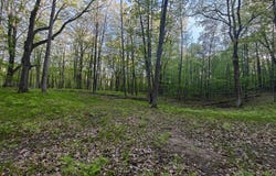 5899 Elm Run, Farwell, MI 48622