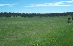 TBD War Bonnet Road, Custer, SD 57730